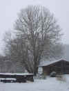 winter5.JPG (196271 Byte)